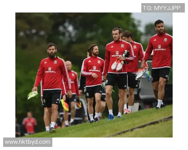 欧洲杯葡萄牙对阵威尔士比赛比分预测及分析展望